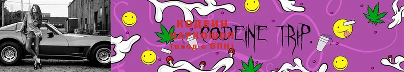 Codein Purple Drank  Рыбинск 