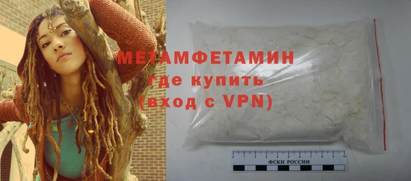 ГАЛЛЮЦИНОГЕННЫЕ ГРИБЫ Костерёво