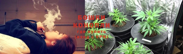 эйфоретик Кущёвская