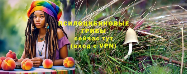 эйфоретик Корсаков