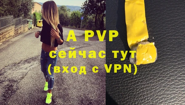 ГАЛЛЮЦИНОГЕННЫЕ ГРИБЫ Костерёво