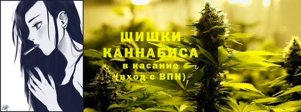 ГАЛЛЮЦИНОГЕННЫЕ ГРИБЫ Костерёво
