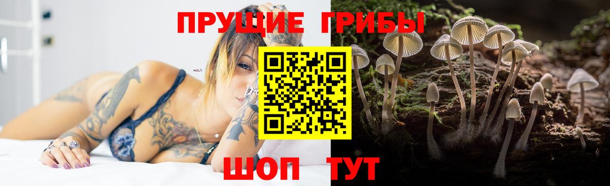 Псилоцибиновые грибы Psilocybe  Галлюциногенные грибы мицелий  Рыбинск 