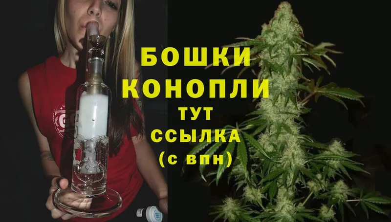 дарнет шоп  Рыбинск  mega   Каннабис White Widow 